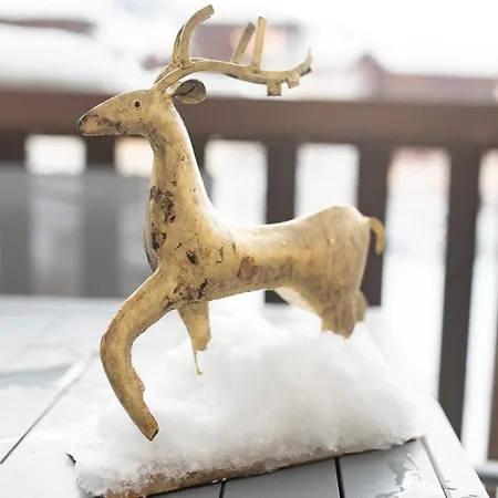 Appartamento Mont Blanc 25, Vue Mont Blanc, Balcon, Parking Chamonix