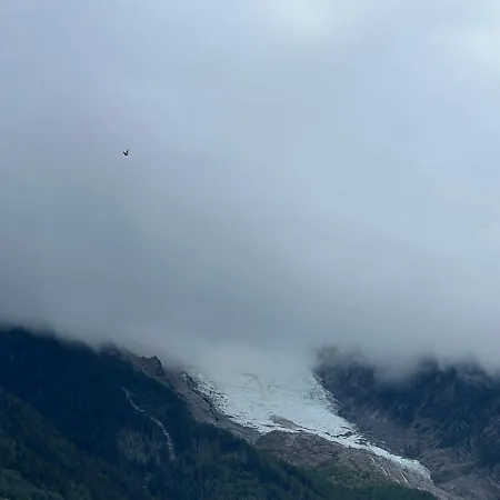 Appartement Mont Blanc 25, Vue Mont Blanc, Balcon, Parking Chamonix